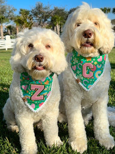 LAST CHANCE! green lucky charms dog bandana (XS only)