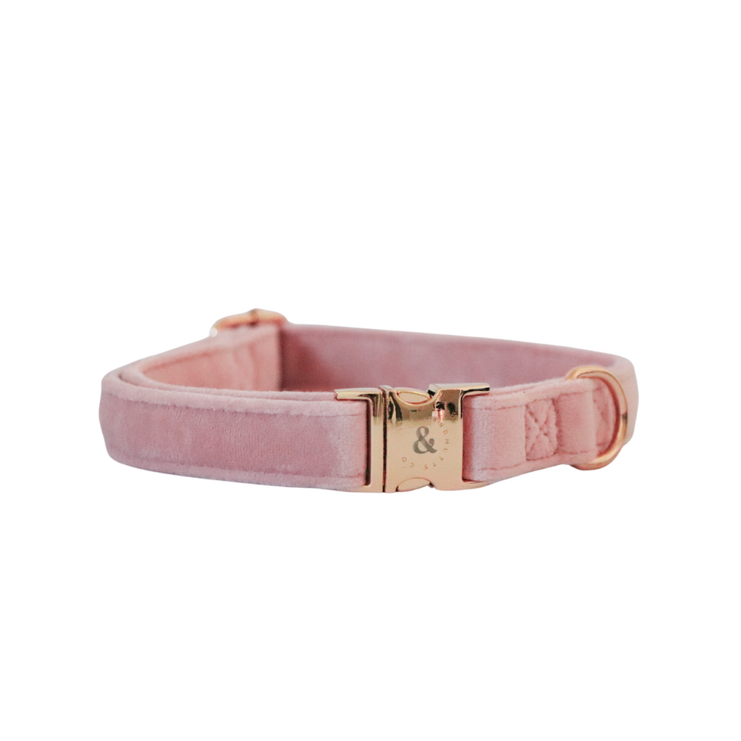 blush pink velvet collar