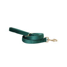 Load image into Gallery viewer, emerald green velvet walk set bundle with harness - $106 value!
