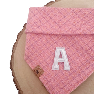 strawberry shortcake letterman dog bandana