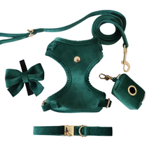 Load image into Gallery viewer, emerald green velvet walk set bundle with harness - $106 value!
