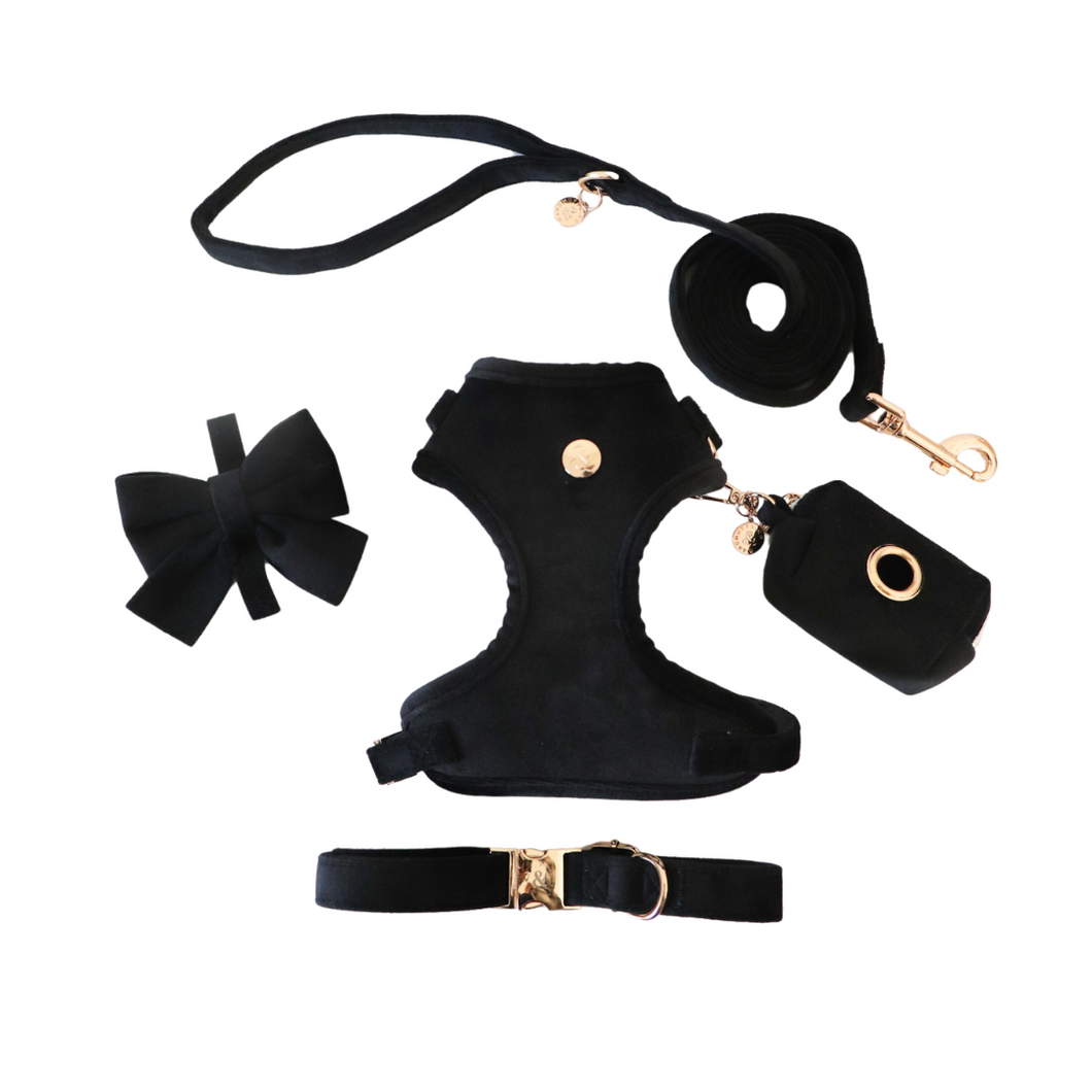 tuxedo black velvet walk set bundle with harness - $106 value!