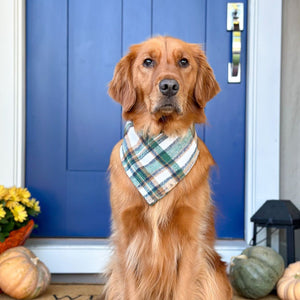 caramel apple flannel dog bandana