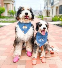 Load image into Gallery viewer, love is love dog bandana
