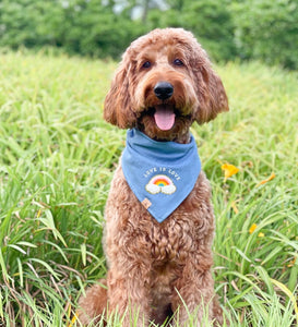 love is love dog bandana