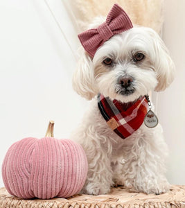 cinnamon spice flannel dog bandana