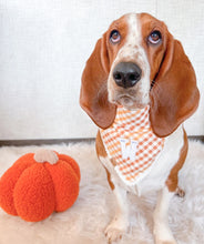 Load image into Gallery viewer, caramel gingham dog bandana
