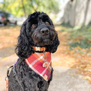 cinnamon spice flannel dog bandana