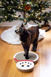 snowman cat scratch pad