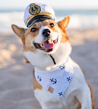 Load image into Gallery viewer, seas the day dog bandana
