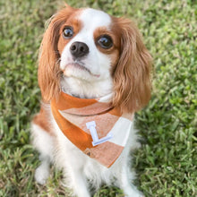 Load image into Gallery viewer, caramel pop letterman dog bandana
