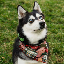 Load image into Gallery viewer, dasher&#39;s plaid letterman dog bandana
