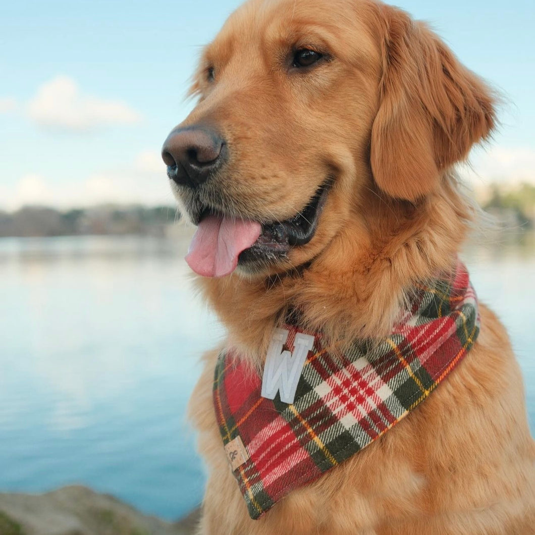 holiday plaid letterman dog bandana