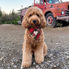 Load image into Gallery viewer, holiday plaid letterman dog bandana
