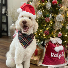 Load image into Gallery viewer, cottonwood plaid dog bandana
