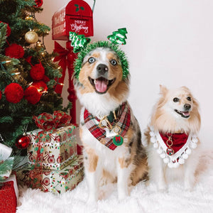 dasher's plaid letterman dog bandana