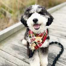 Load image into Gallery viewer, holiday plaid letterman dog bandana
