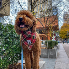 Load image into Gallery viewer, holiday plaid letterman dog bandana
