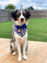 Load image into Gallery viewer, sushi me rollin&#39; dog bandana
