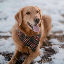 Load image into Gallery viewer, cottonwood plaid dog bandana
