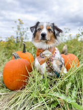 Load image into Gallery viewer, caramel pop letterman dog bandana
