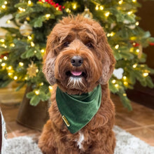 Load image into Gallery viewer, royal spruce green velvet dog bandana
