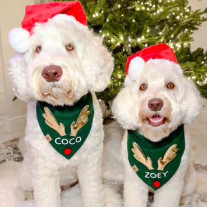 pine green personalized reindeer dog bandana