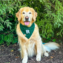 Load image into Gallery viewer, pine green letterman dog bandana
