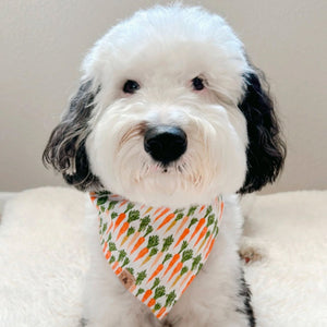 keep calm and carrot on dog bandana