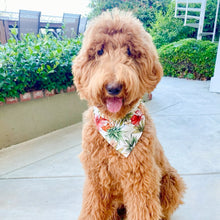 Load image into Gallery viewer, tropical hibiscus dog bandana
