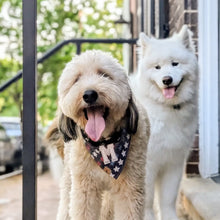 Load image into Gallery viewer, stargazer letterman dog bandana
