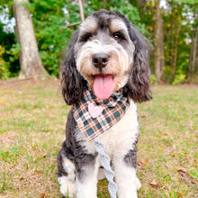 Load image into Gallery viewer, warm timberline flannel letterman dog bandana
