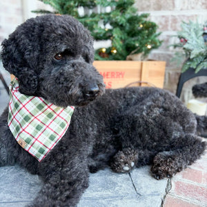 noel's plaid dog bandana