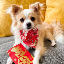 Load image into Gallery viewer, LNY cherry blossom dog bandana
