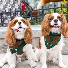 Load image into Gallery viewer, pine green personalized reindeer dog bandana
