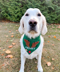 pine green personalized reindeer dog bandana