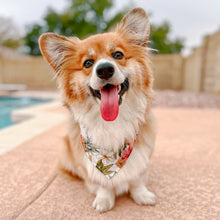 Load image into Gallery viewer, tropical hibiscus dog bandana
