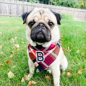 cinnamon spice flannel dog bandana