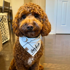 stay cozy dog bandana