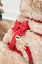 Load image into Gallery viewer, winterberry red velvet bow
