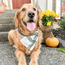 Load image into Gallery viewer, caramel apple flannel dog bandana
