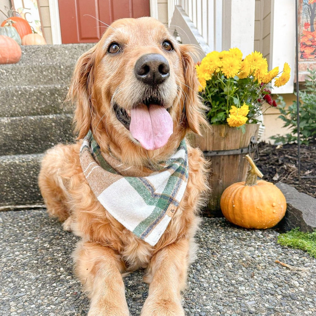 caramel apple flannel dog bandana