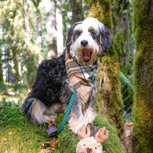 Load image into Gallery viewer, caramel apple flannel dog bandana
