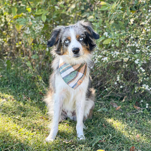 caramel apple flannel dog bandana