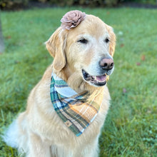 Load image into Gallery viewer, caramel apple flannel dog bandana
