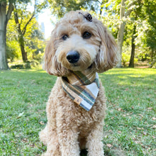 Load image into Gallery viewer, caramel apple flannel dog bandana
