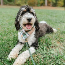 Load image into Gallery viewer, caramel apple flannel dog bandana
