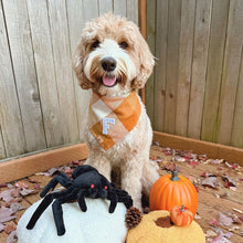 Load image into Gallery viewer, caramel pop letterman dog bandana
