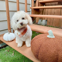 Load image into Gallery viewer, chai latte flannel letterman dog bandana
