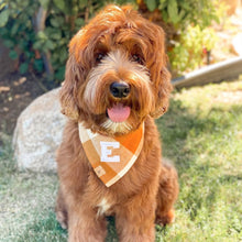 Load image into Gallery viewer, caramel pop letterman dog bandana
